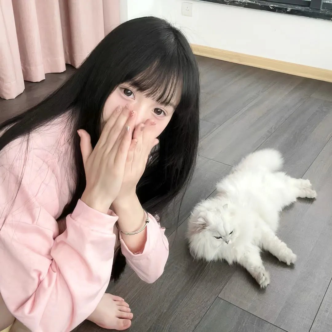 悲欢故事